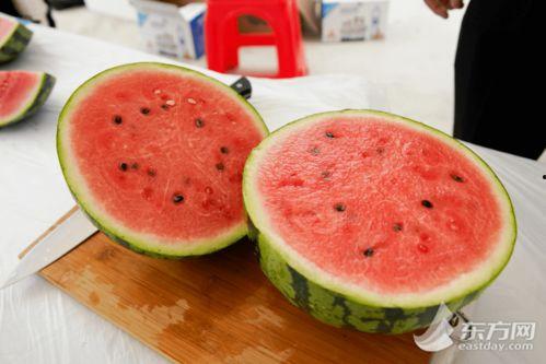 全国吃瓜视频,揭秘网络热点背后的故事