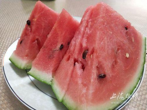 全国吃瓜视频,揭秘网络热点背后的故事