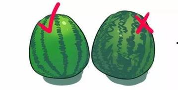 吃瓜的圈圈,一场全民参与的娱乐盛宴