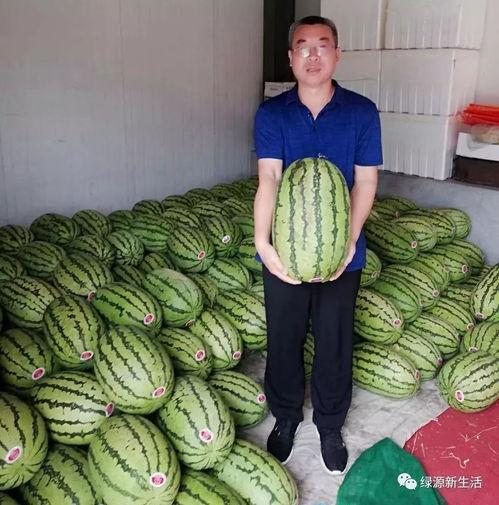 吃瓜节目,吃瓜节目带你领略明星幕后故事