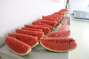 点爱心免费吃瓜,夏日炎炎甜蜜来袭！