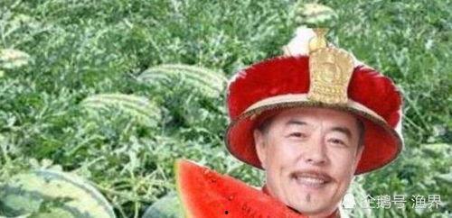 宫铃吃瓜,揭秘宫廷秘闻，一窥皇家生活百态