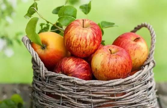 吃瓜网站免费入口苹果