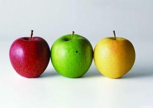 吃瓜网站免费入口苹果