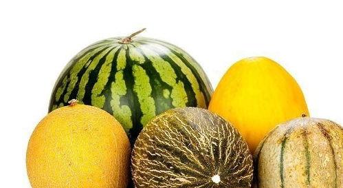 吃瓜好处多标题,为何说“吃瓜好处多”