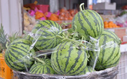 乐见吃瓜,揭秘娱乐圈幕后故事