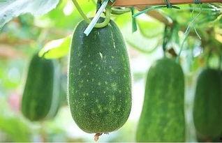 乐见吃瓜,揭秘娱乐圈幕后故事