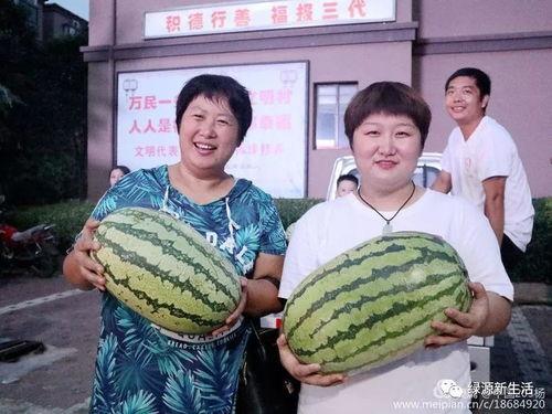 经典吃瓜照片,揭秘娱乐圈背后的秘密