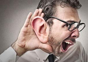 梦见吃土耳瓜,探寻梦中土耳其瓜的神秘寓意