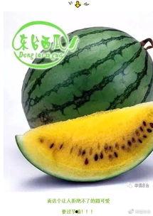 近几年吃瓜集合,盘点那些引发热议的网络事件