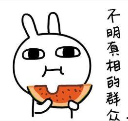 天天早恋吃瓜文案,天天早恋，甜蜜校园生活大揭秘