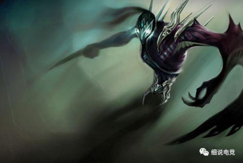 梦魇瓜去哪吃,揭秘全国特色美食餐厅