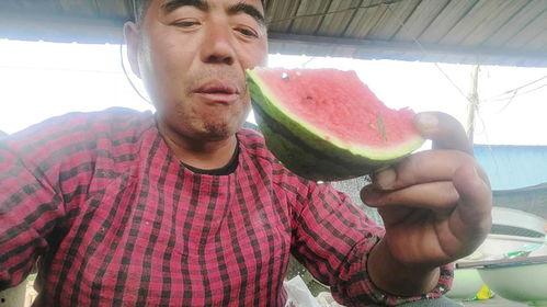 甘肃老汉吃瓜视频大全