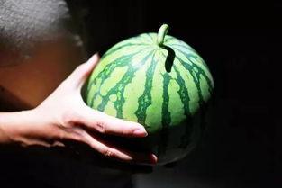 台州温岭新河吃瓜,夏日炎炎，瓜香四溢的休闲时光