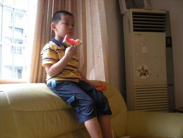 吃瓜阳阳,揭秘娱乐圈背后的那些事儿