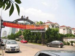 新世纪小区吃瓜,吃瓜群众的热议焦点