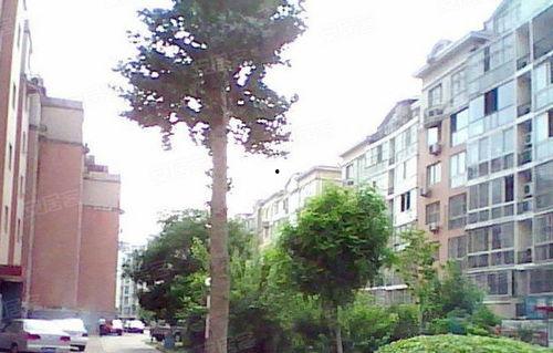 新世纪小区吃瓜,吃瓜群众的热议焦点