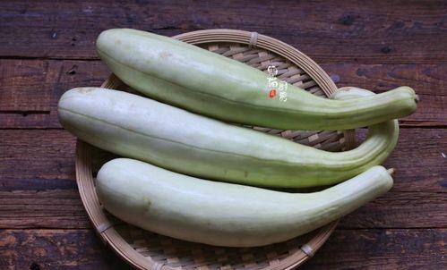 邻家大姐吃瓜,邻家大姐的瓜田奇遇记