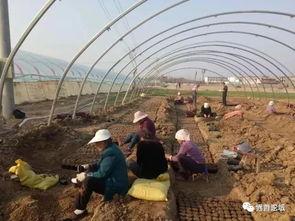 界首小区吃瓜事件,邻里纷争背后的真相揭秘