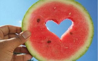 露营吃瓜搞笑,欢乐无限，笑料横生！