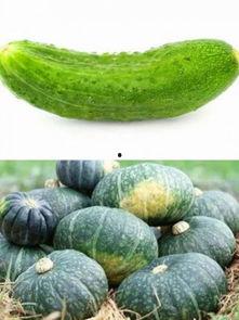 选择吃瓜,揭秘娱乐圈的甜蜜与苦涩