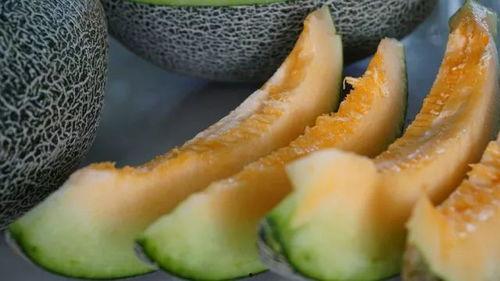 带你吃瓜吃美食,品味美食盛宴