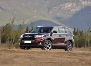 汉兰达吃瓜,揭秘娱乐圈的“瓜田”风云