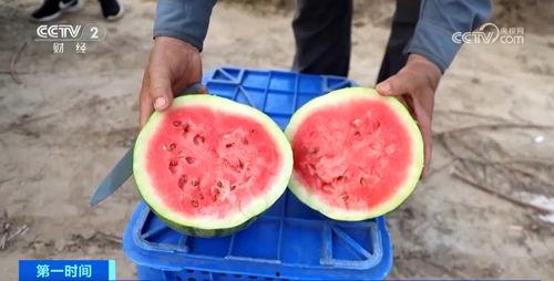 富裕吃瓜,揭秘财富背后的酸甜苦辣