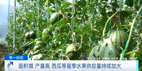 富裕吃瓜,揭秘财富背后的酸甜苦辣