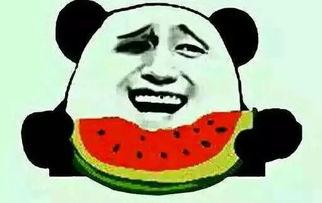 12点准时吃瓜,瓜界盛宴等你来