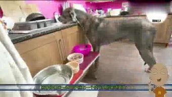 我是吃瓜侠,揭秘娱乐圈幕后故事