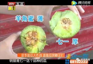 吃瓜万能引擎,吃瓜万能引擎带你领略明星幕后故事