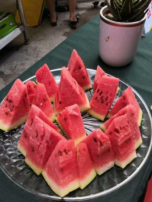 重庆吃瓜图,揭秘山城夏日街头美食风情