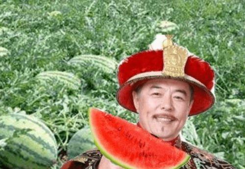 赞美吃瓜的图片,品味生活，共享瓜趣