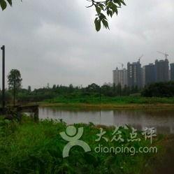 红河学院湿地公园吃瓜