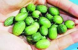 小西北吃瓜,揭秘娱乐圈那些不为人知的幕后故事