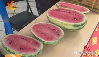 广州摄影吃瓜,捕捉光影中的吃瓜瞬间