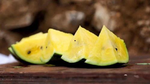 东灵山吃瓜,一场别开生面的吃瓜狂欢之旅