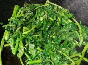 瓜拉秧怎么吃,探索美味与健康的完美结合