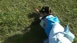 道士下山看戏吃瓜,戏里戏外，吃瓜看戏两不误