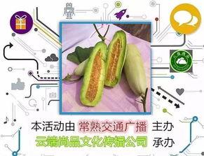 吃羊角蜜瓜中毒,揭秘甜蜜背后的安全隐患