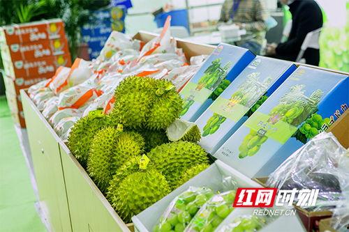 湖南长沙吃瓜视频,一网打尽热门话题与趣味瞬间