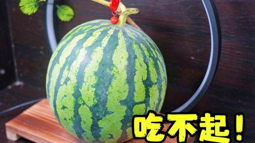 老板给吃的瓜,揭秘职场背后的甜蜜秘密