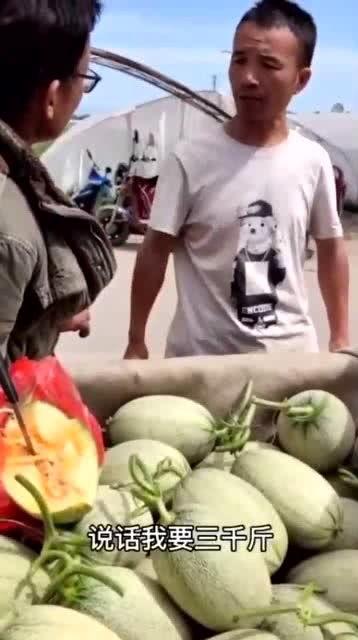 老板给吃的瓜,揭秘职场背后的甜蜜秘密