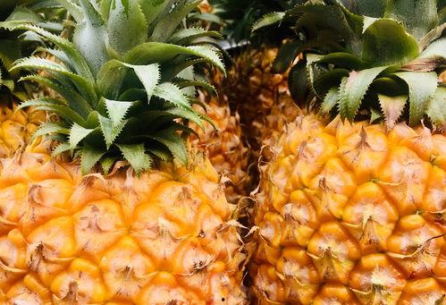 吃完菠萝再吃蜜瓜,甜蜜交织的味蕾之旅