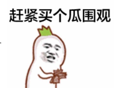 吃瓜群众们实力,实力派围观者的崛起之路