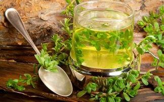 绿茶穿书吃瓜,她吃瓜吃到人生巅峰