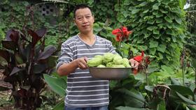 兔儿瓜怎样吃,解锁美味新体验