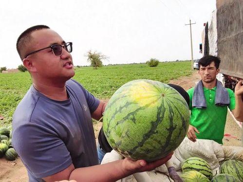 额尔古纳吃瓜,探寻北疆夏日美食之旅