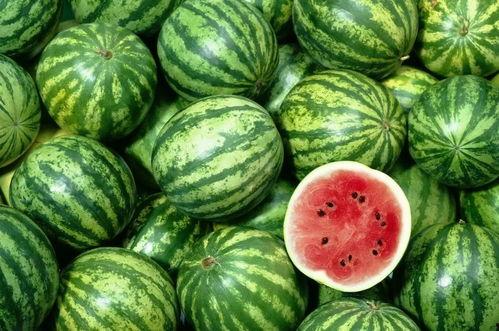 人吃瓜图片图文素材,人吃瓜的欢乐瞬间